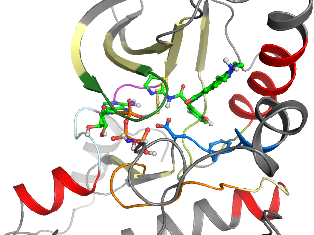The orthosteric binding pocket
