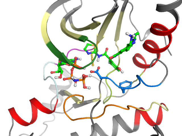 The orthosteric binding pocket