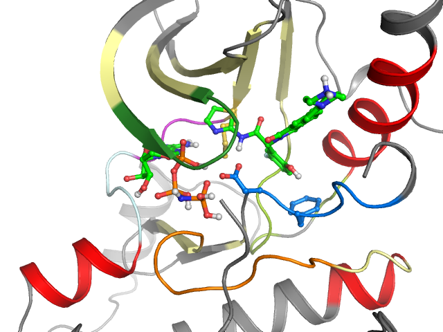 The orthosteric binding pocket