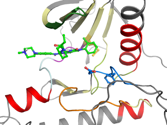 The orthosteric binding pocket