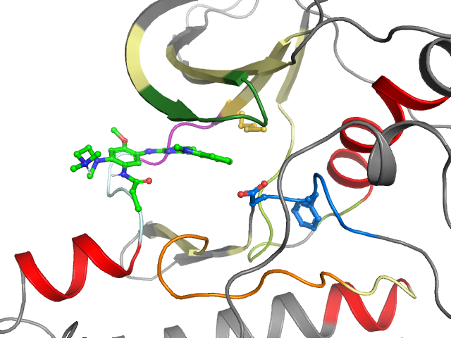 The orthosteric binding pocket