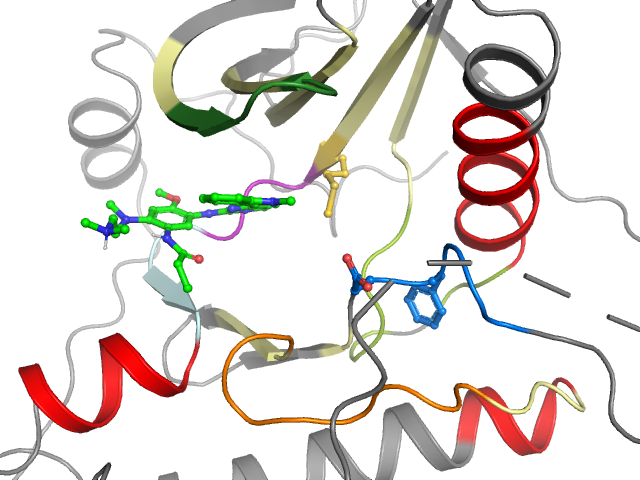 The orthosteric binding pocket