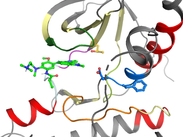 The orthosteric binding pocket