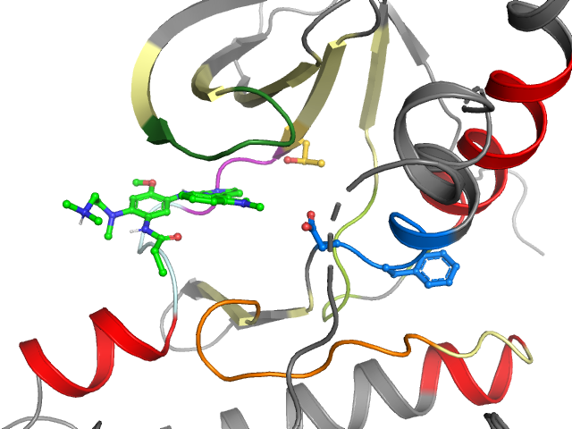 The orthosteric binding pocket