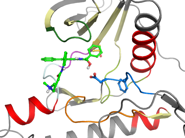 The orthosteric binding pocket