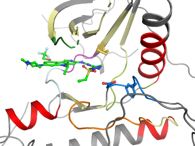 The orthosteric binding pocket