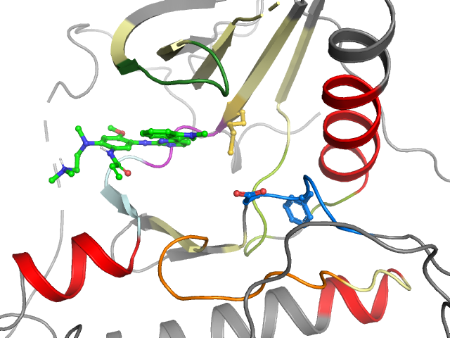 The orthosteric binding pocket