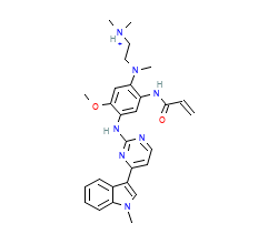 2D structure of the orthosteric ligand
