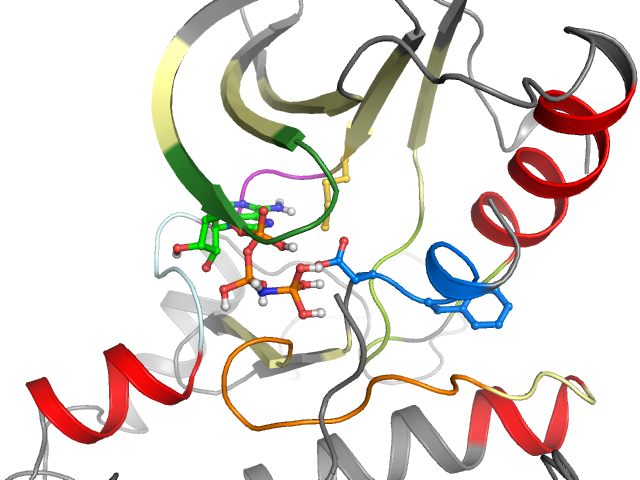 The orthosteric binding pocket