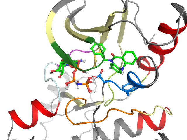 The orthosteric binding pocket