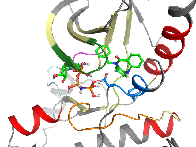 The orthosteric binding pocket