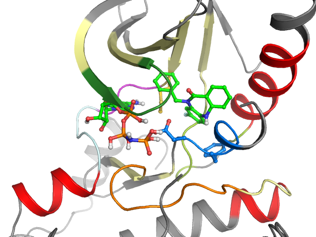 The orthosteric binding pocket