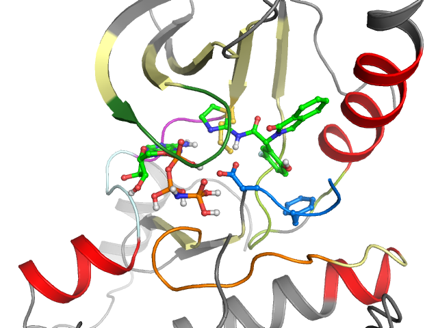 The orthosteric binding pocket