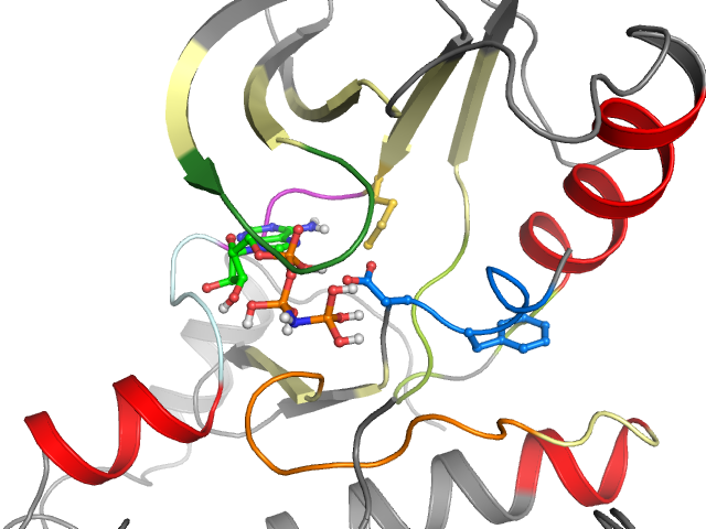 The orthosteric binding pocket