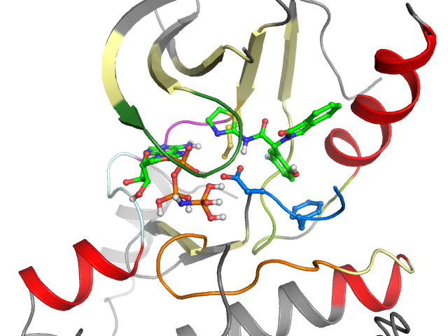 The orthosteric binding pocket