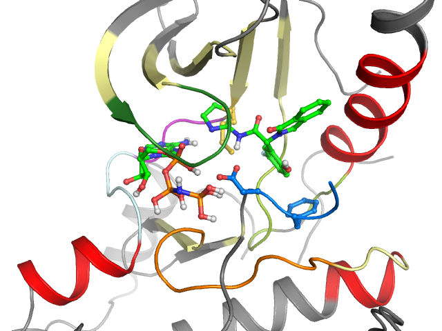The orthosteric binding pocket