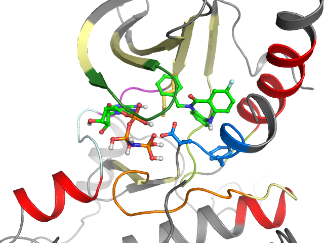 The orthosteric binding pocket