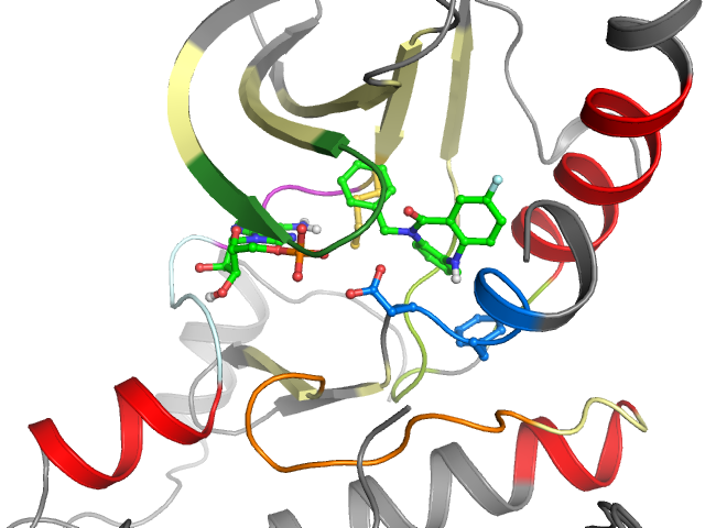The orthosteric binding pocket