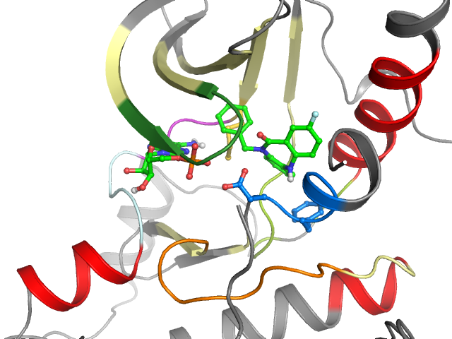 The orthosteric binding pocket