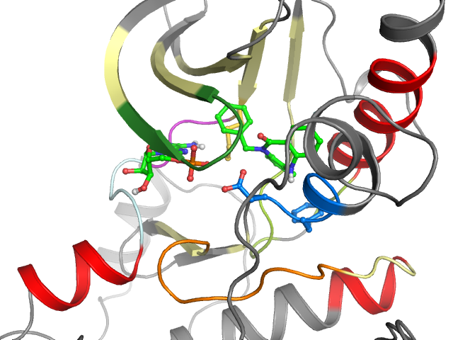 The orthosteric binding pocket