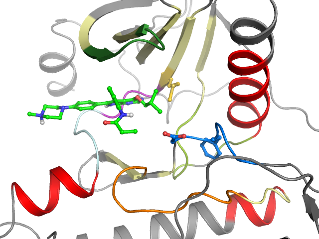 The orthosteric binding pocket