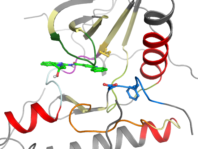 The orthosteric binding pocket