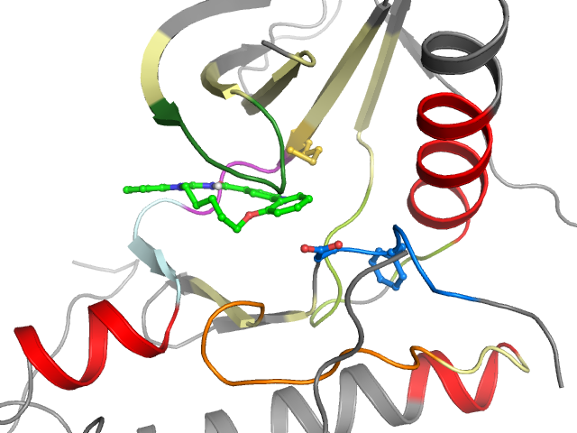 The orthosteric binding pocket