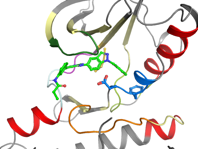 The orthosteric binding pocket