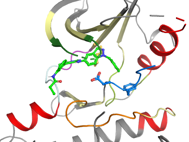 The orthosteric binding pocket