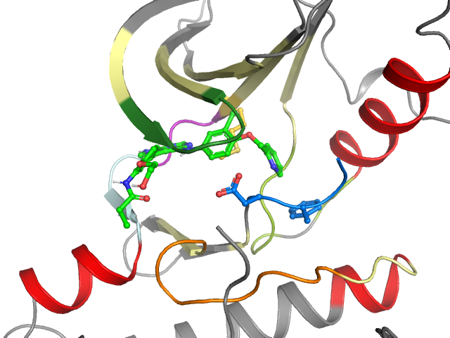 The orthosteric binding pocket
