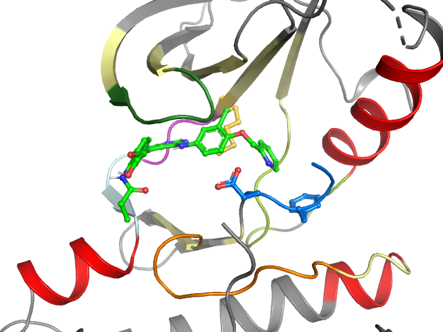 The orthosteric binding pocket