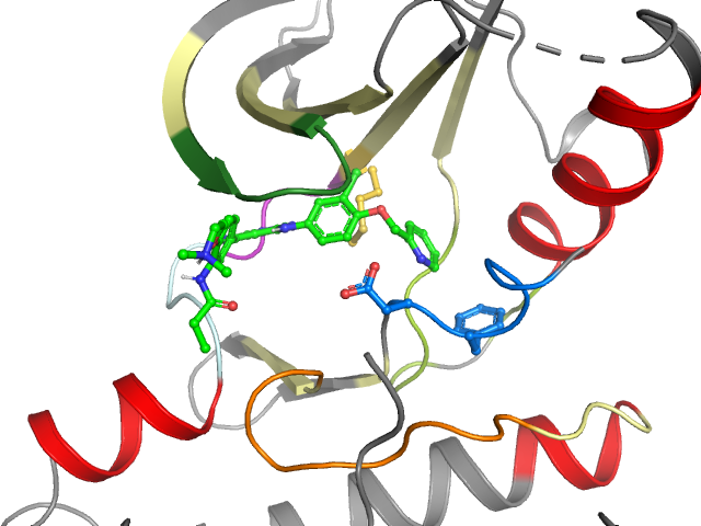 The orthosteric binding pocket