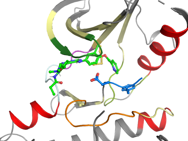The orthosteric binding pocket