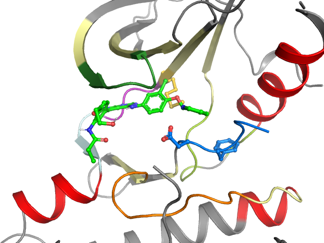 The orthosteric binding pocket