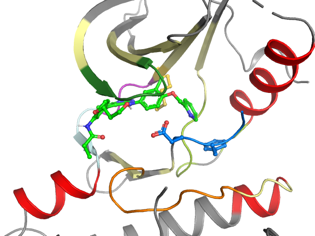 The orthosteric binding pocket