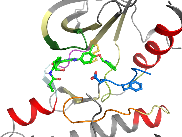The orthosteric binding pocket