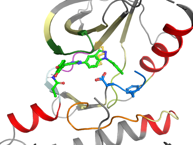 The orthosteric binding pocket