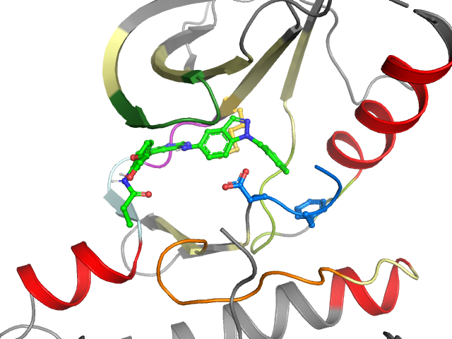 The orthosteric binding pocket