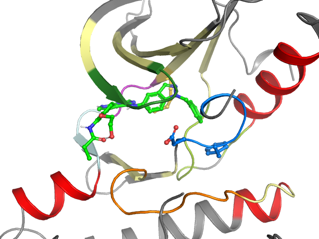 The orthosteric binding pocket