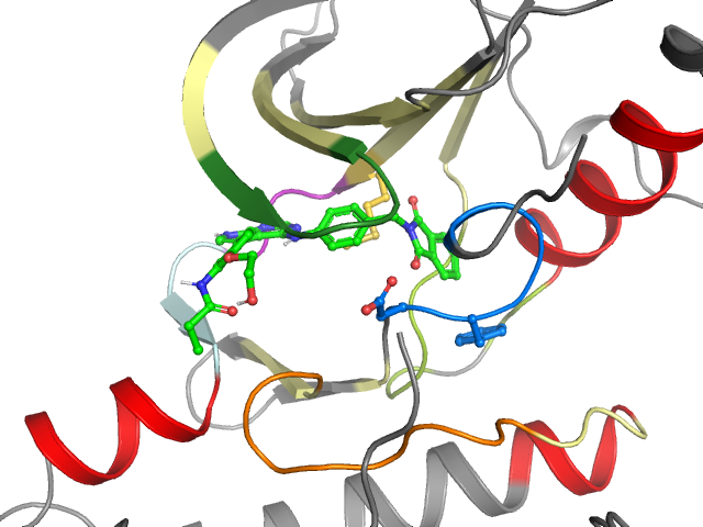 The orthosteric binding pocket