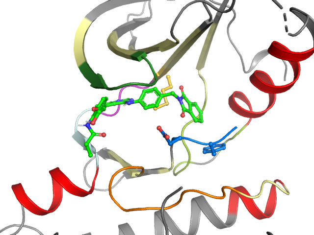 The orthosteric binding pocket