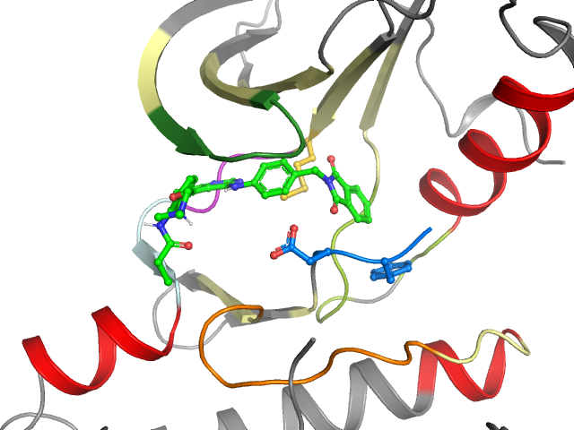 The orthosteric binding pocket
