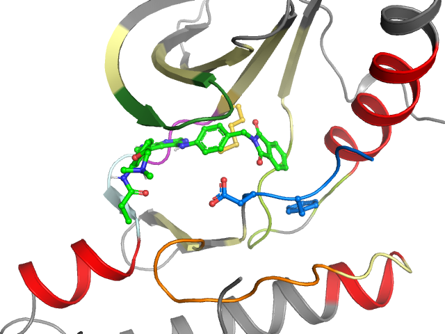 The orthosteric binding pocket