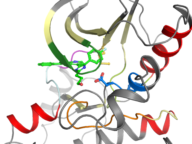 The orthosteric binding pocket