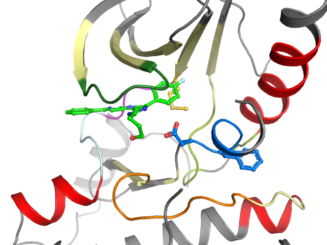 The orthosteric binding pocket