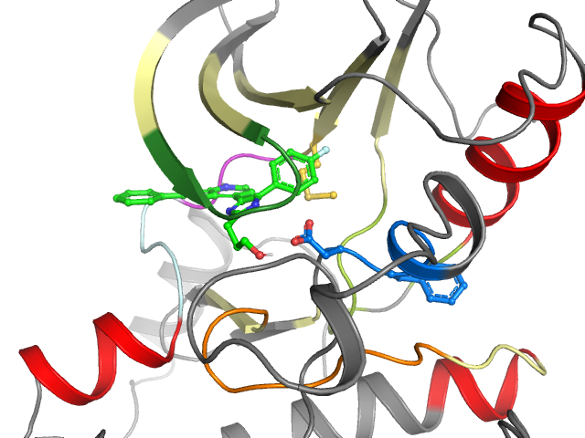 The orthosteric binding pocket