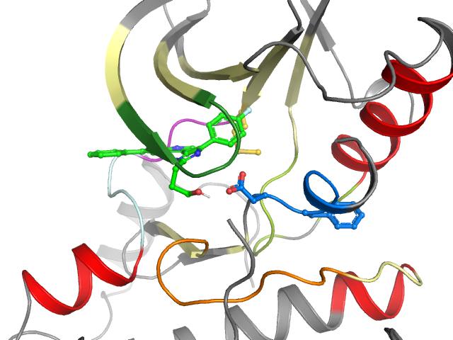 The orthosteric binding pocket