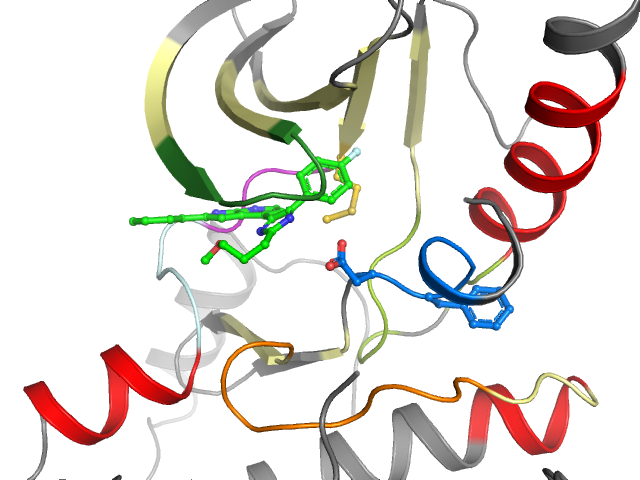 The orthosteric binding pocket