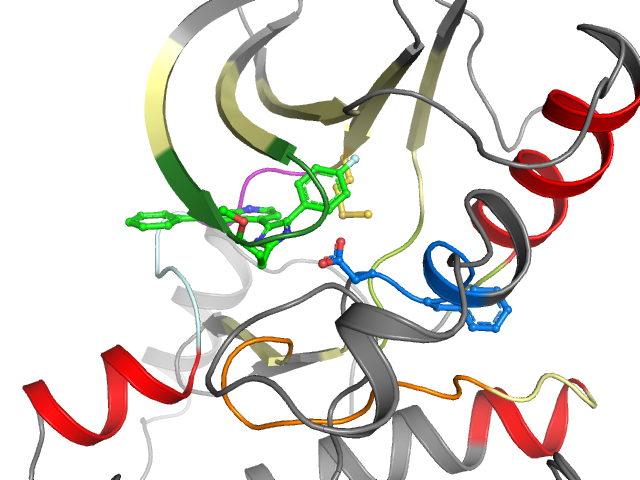 The orthosteric binding pocket