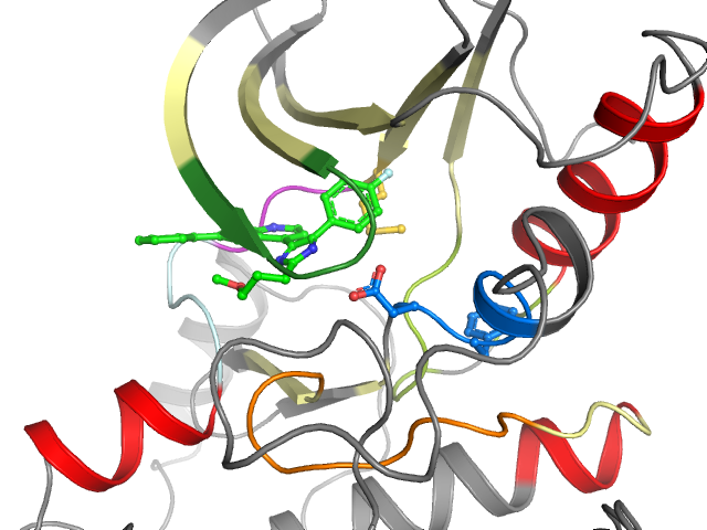 The orthosteric binding pocket